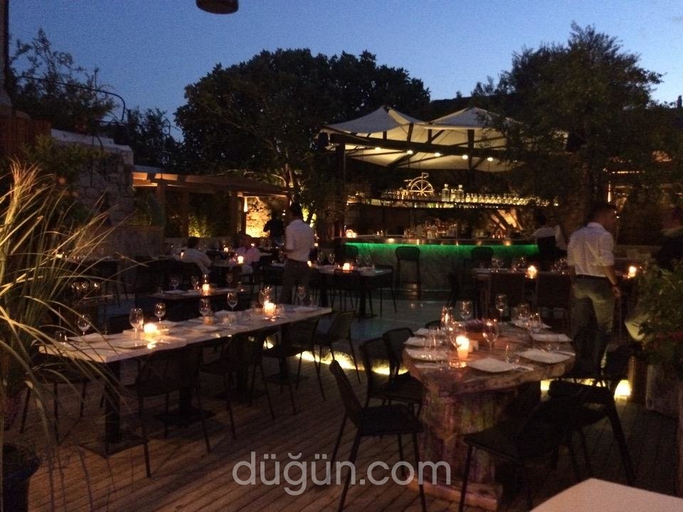 Momo Italian Restaurant & Lounge