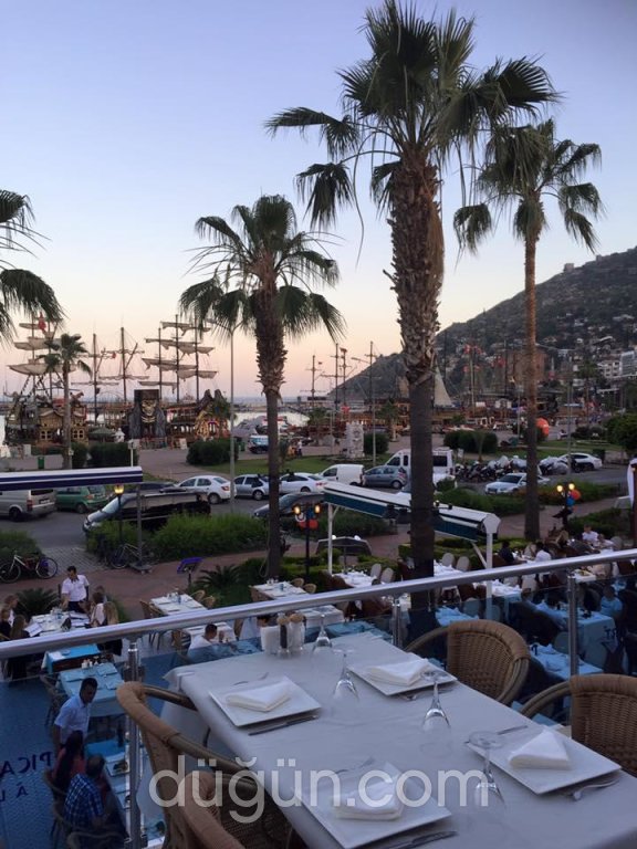 Picasso Port À la Carte