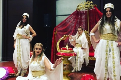 Hanedan Organizasyon