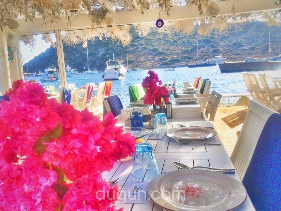 Mimoza Gümüşlük Restaurant