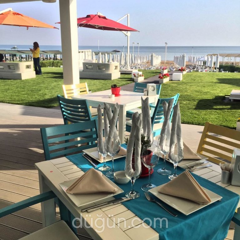 Q Beach Restaurant Lounge