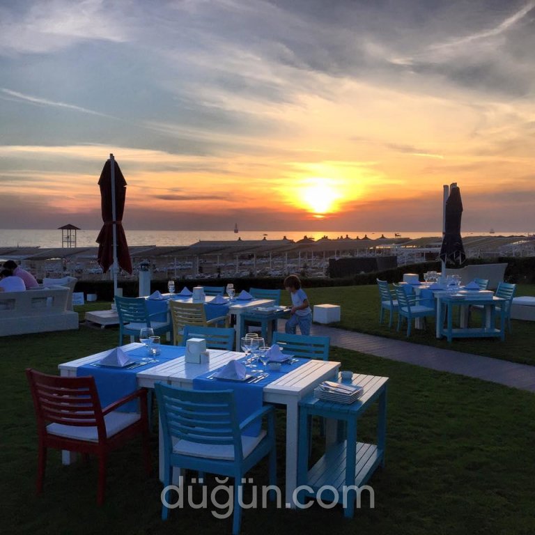 Q Beach Restaurant Lounge