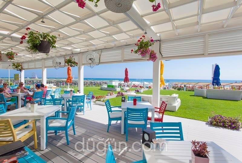 Q Beach Restaurant Lounge