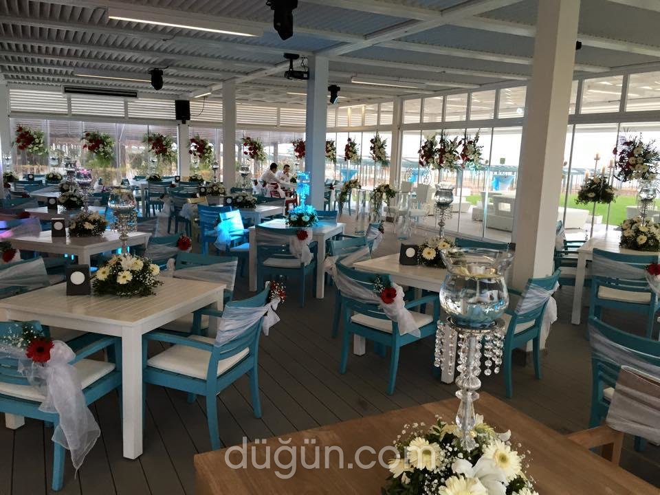Q Beach Restaurant Lounge