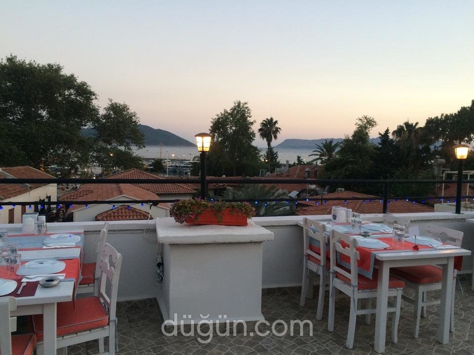 Gelos Dinner & Drink