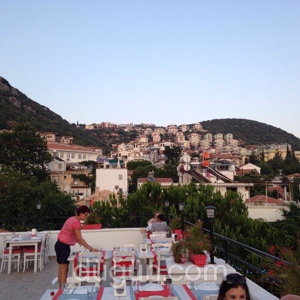 Gelos Dinner & Drink