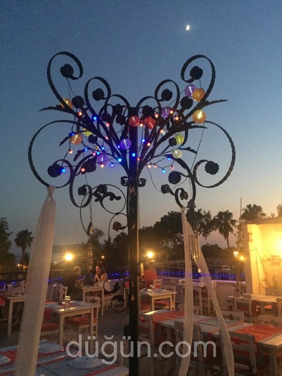 Gelos Dinner & Drink