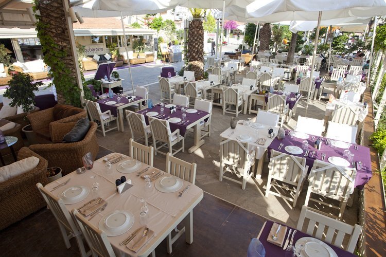 Aubergine Restaurant