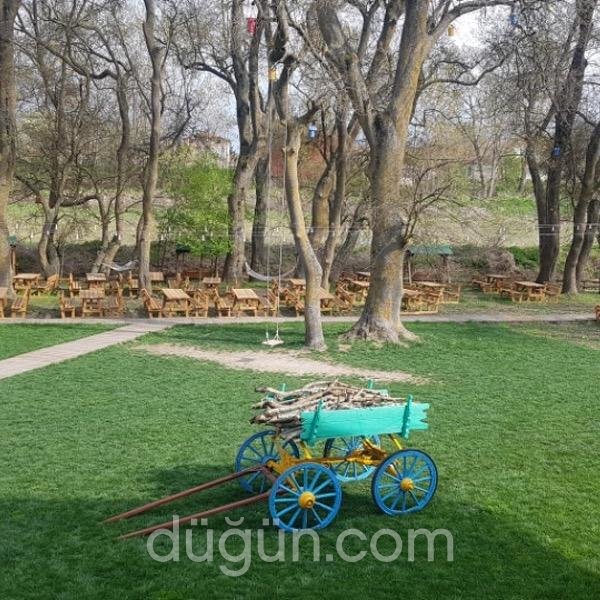 Doğa’nın Bahçesi