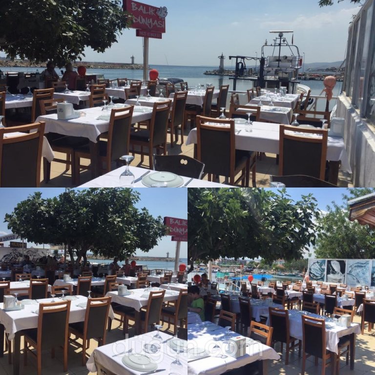 Balık Dünyası Restaurant