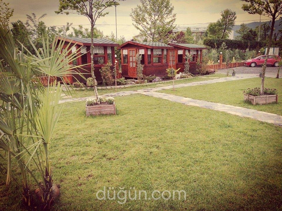 Sapanca Ehlikeyf Canlıbalık