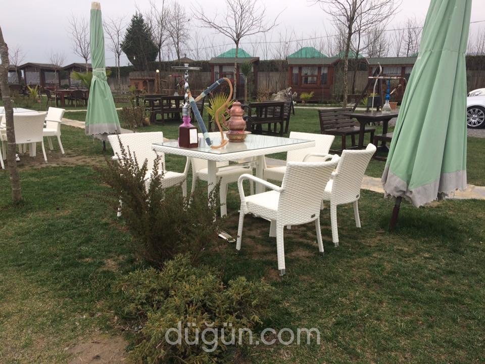 Sapanca Ehlikeyf Canlıbalık