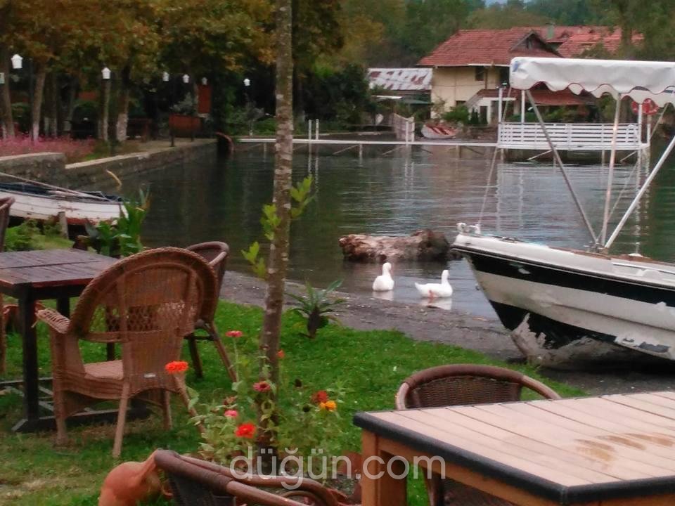 Sapanca Ehlikeyf Canlıbalık