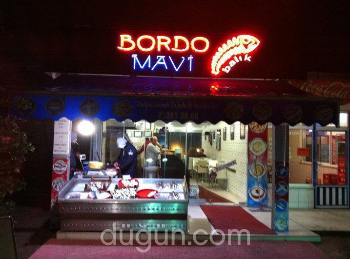 Bordo Mavi Balık