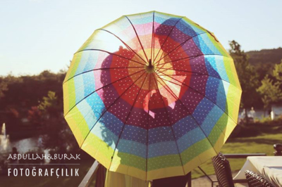 Fıstık Ağacı Fotoğraf Ajansı