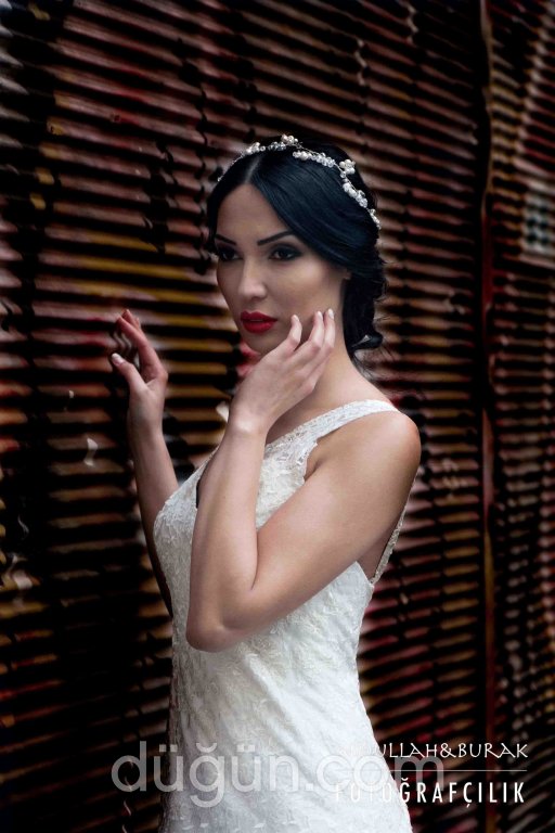 Fıstık Ağacı Fotoğraf Ajansı