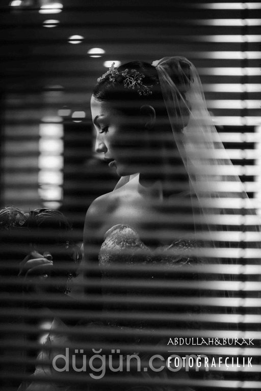 Fıstık Ağacı Fotoğraf Ajansı