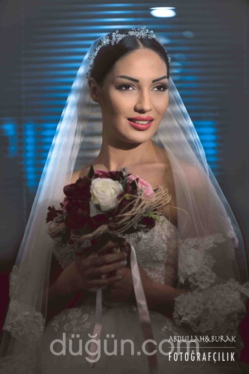 Fıstık Ağacı Fotoğraf Ajansı