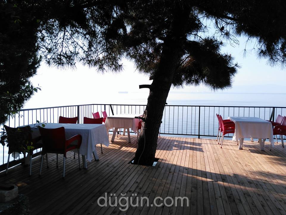Balkon Izgara