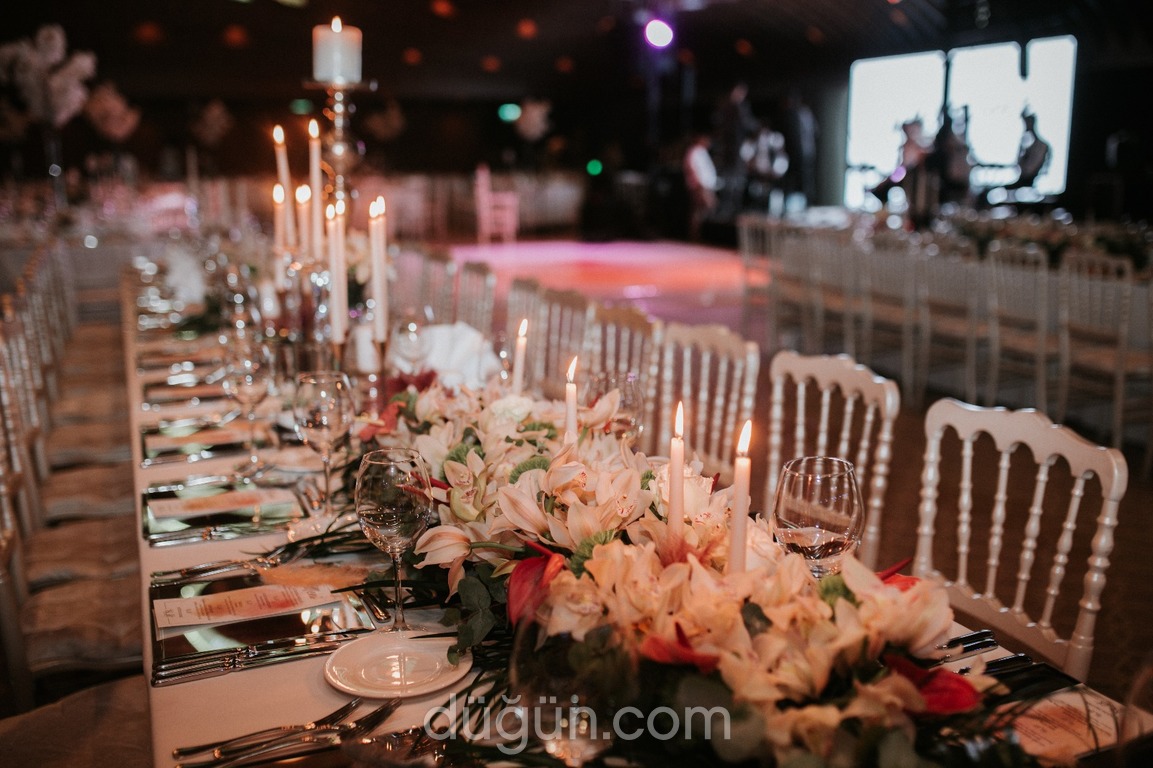 Tulip's Floral Design