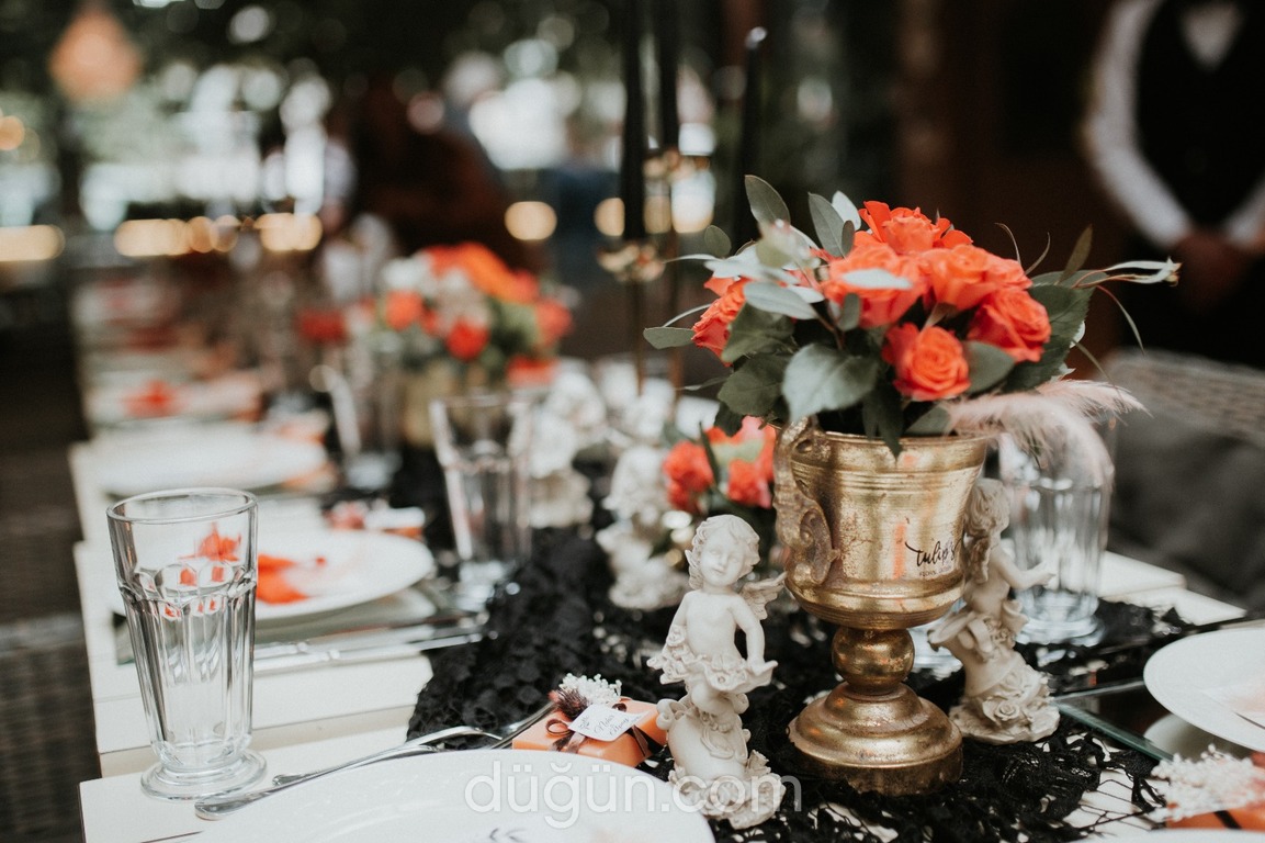 Tulip's Floral Design