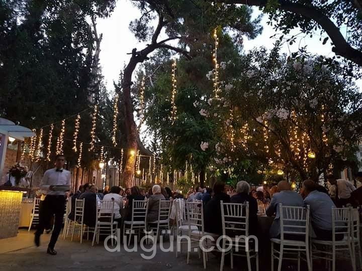 Düğün Aydınlatmaları