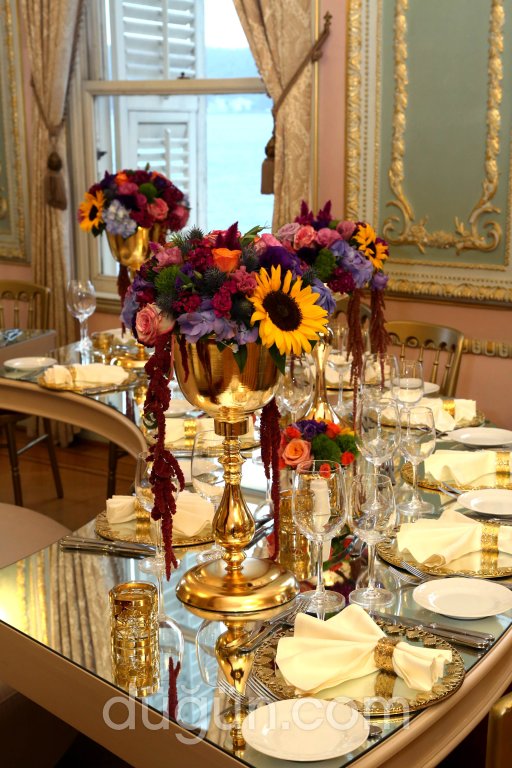 Aslı Türker Events