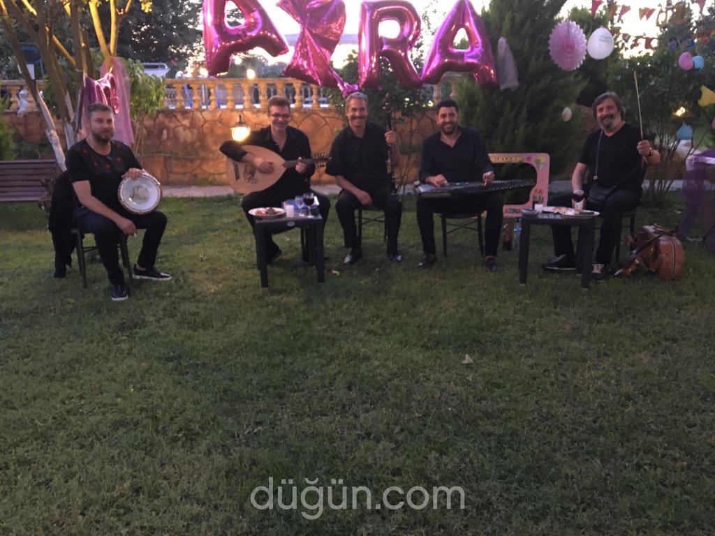 Birkalır Müzik Düğün Sahne Organizasyonu