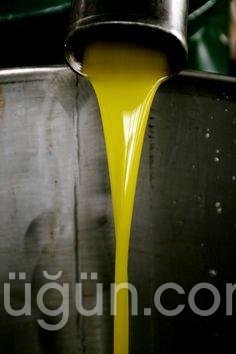 Hediyelik Düğün Zeytinyağı