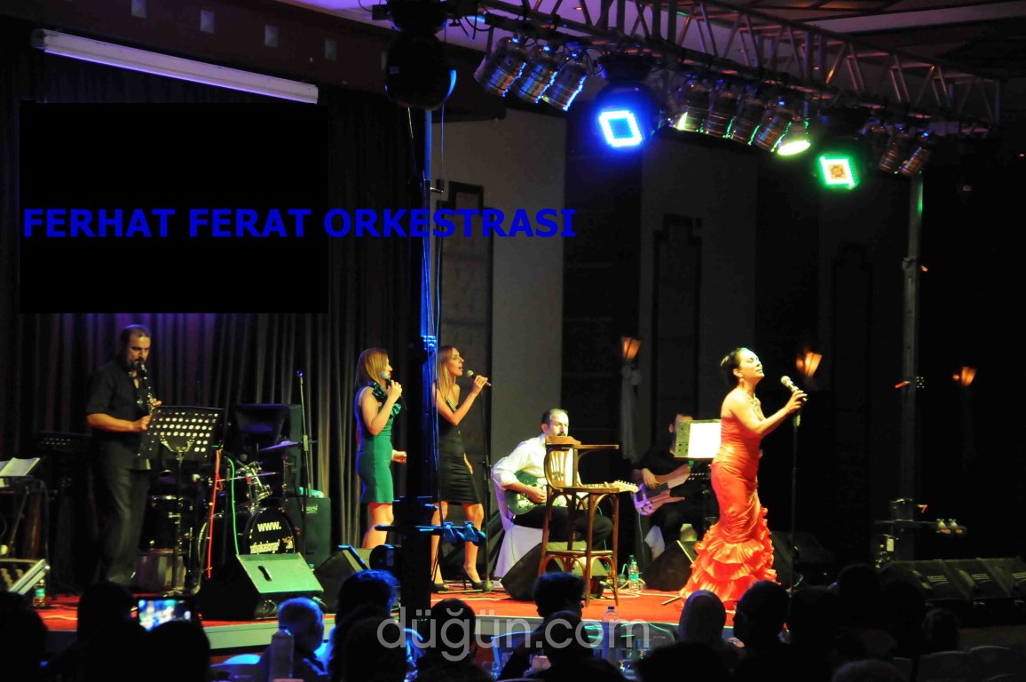 Ferat Organizasyon