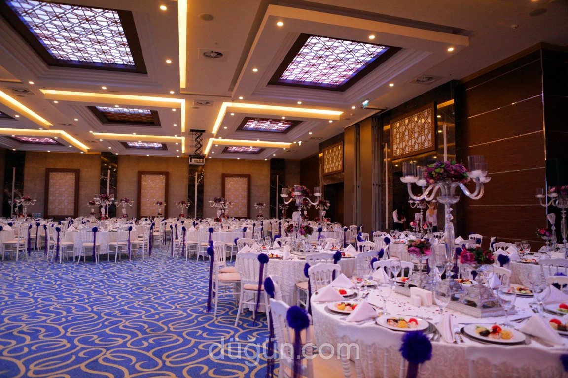 Radisson Blu Hotel