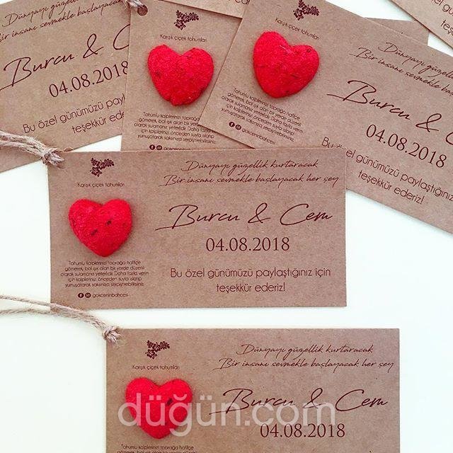 Gökçe'nin Bahçesi Tohumlu Hatıralar