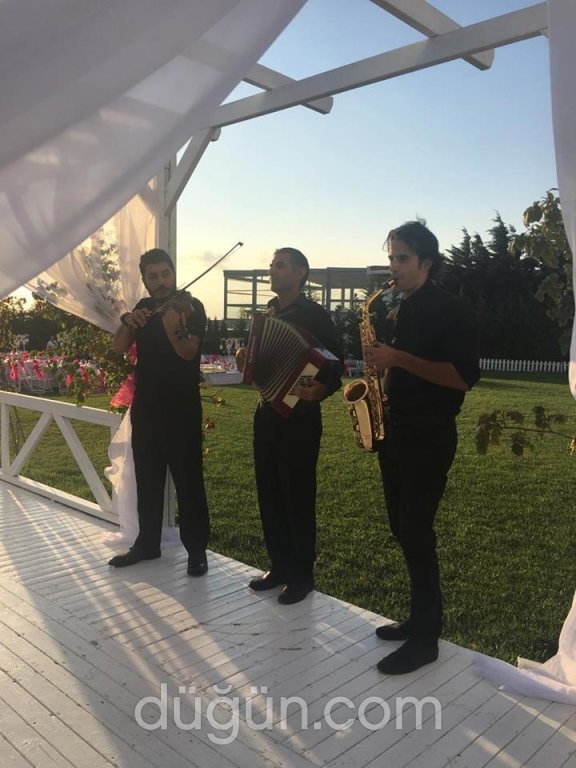 Seda Wedding Ensemble