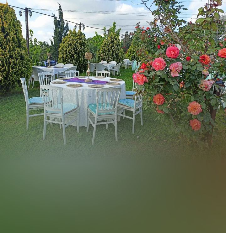 Kuzey Garden 