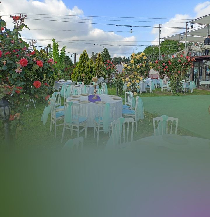 Kuzey Garden 