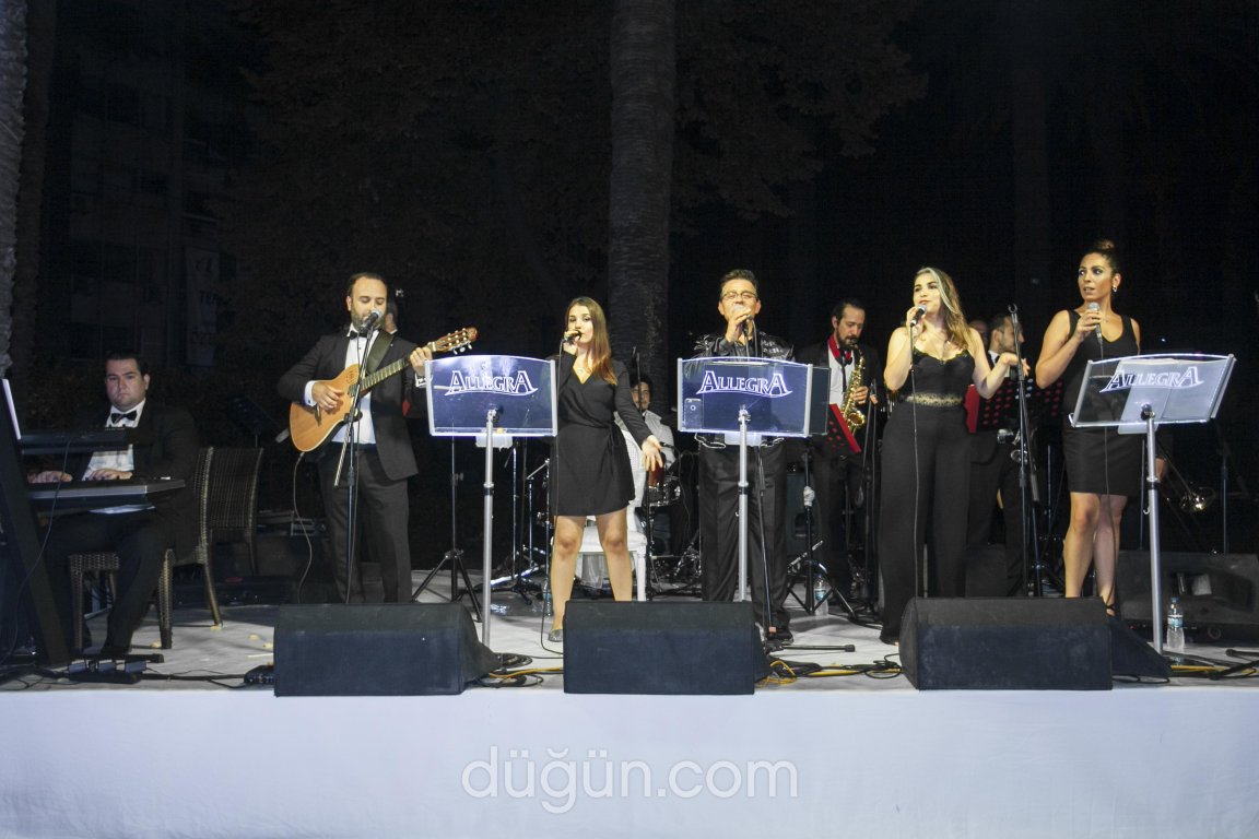 Orkestra Allegra Piccola