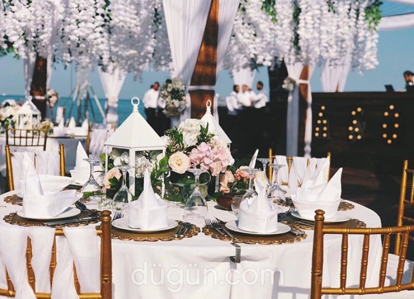 Cantuğ Organizasyon