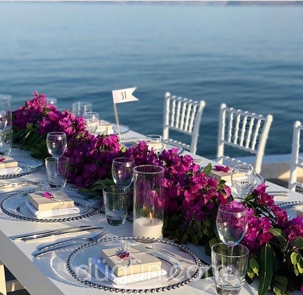 Cantuğ Organizasyon