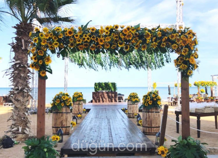 Cantuğ Organizasyon