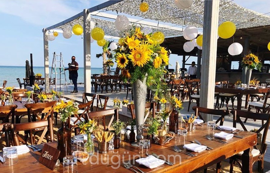 Cantuğ Organizasyon