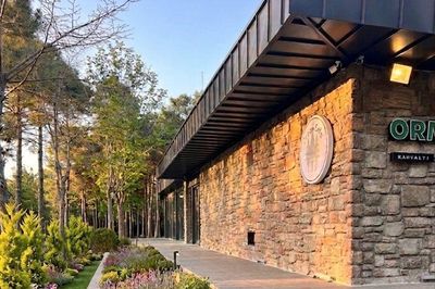 Trabzonpark Orman Restaurant