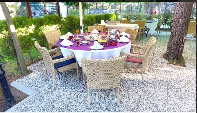 Orman Cafe & Restaurant