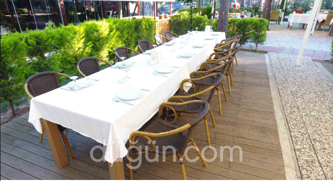 Orman Cafe & Restaurant