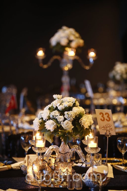 All İn Organization & Events