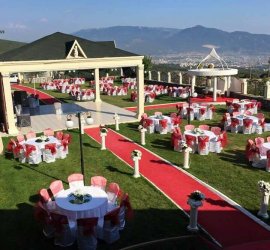 Elegance Garden
