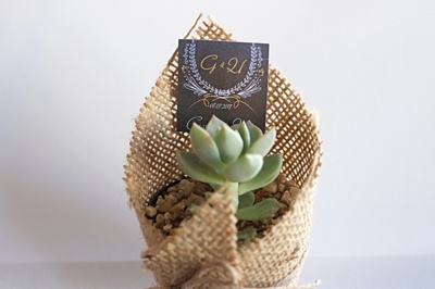 Şeyma Çiçekçilik Ve Nikah Şekeri