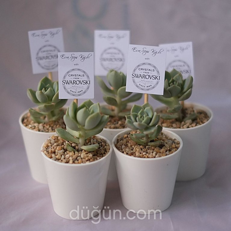 Şeyma Çiçekçilik Ve Nikah Şekeri