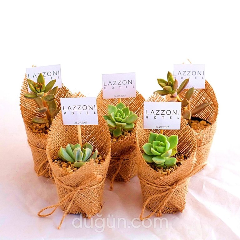 Şeyma Çiçekçilik Ve Nikah Şekeri