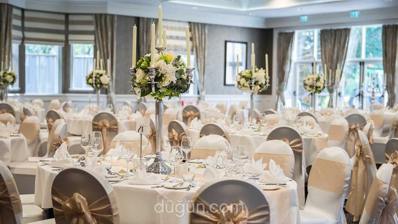 Rinelia Organizasyon