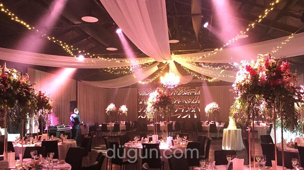 Rinelia Organizasyon